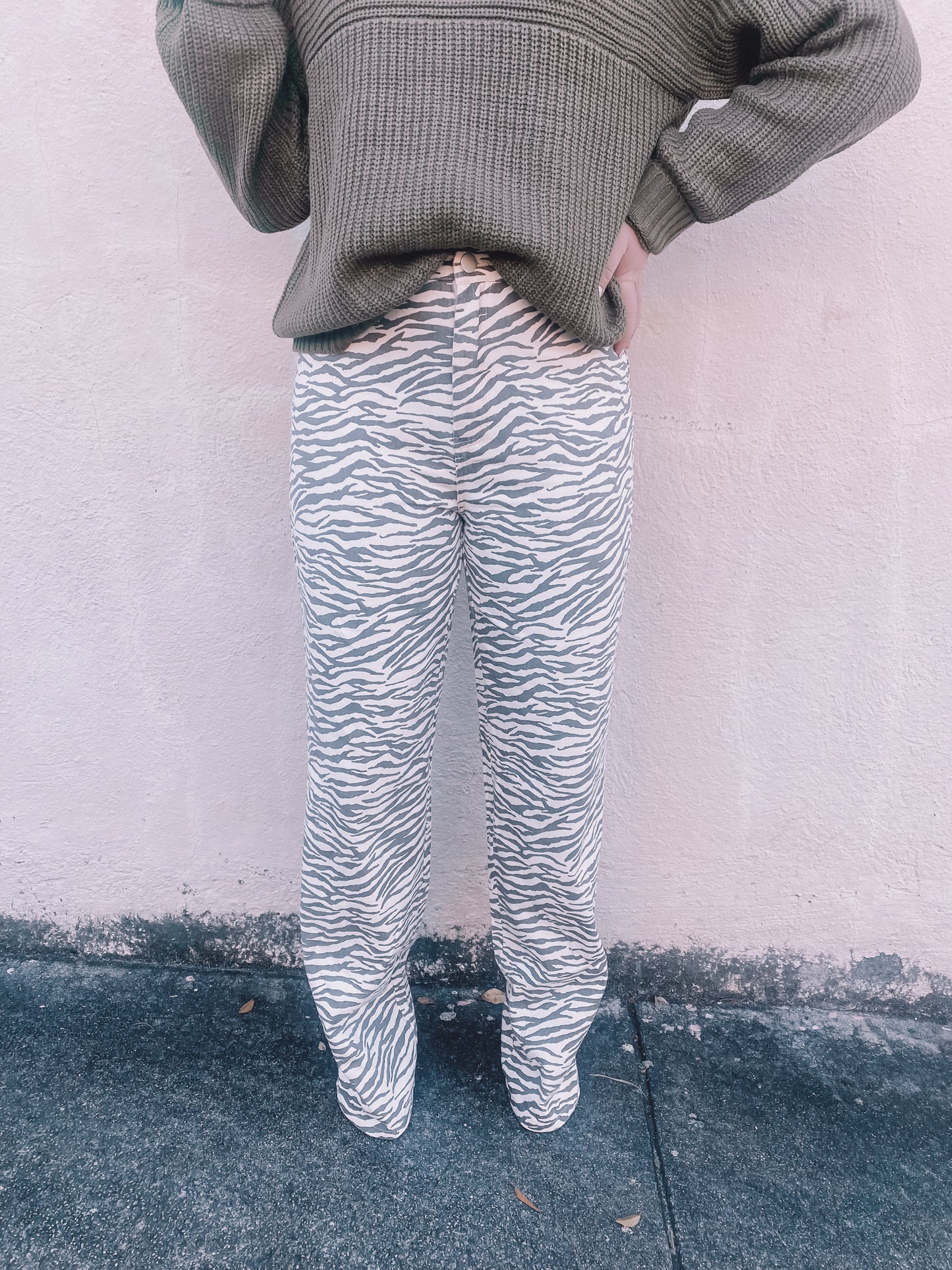 Iggy Zebra Print Pants